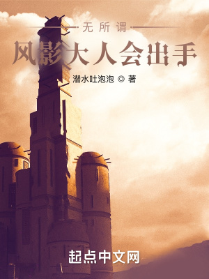 风影大人小说