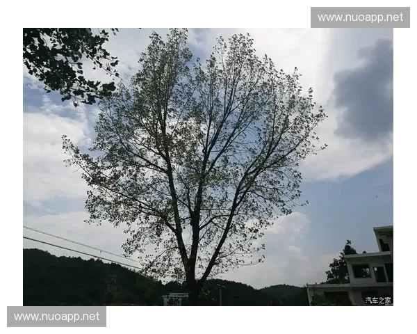 英超直播吧带你畅享激情赛场实时解说与最新球队动态